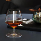Holmegaard 4402028 Perfection Bar Glasses in Clear