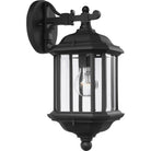 Generation Lighting 84030-12 Kent Up/Down Lantern