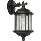 Generation Lighting 84030-746 Kent Up/Down Lantern