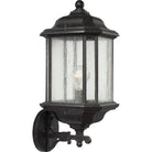 Generation Lighting 84032-746 Kent Up/Down Lantern