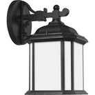 Generation Lighting 84529-746 Kent Down Lantern
