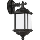 Generation Lighting 84530-746 Kent Up/Down Lantern