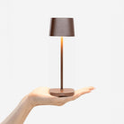 Zafferano America LD1880R3 Ofelia Pro Micro in Rust