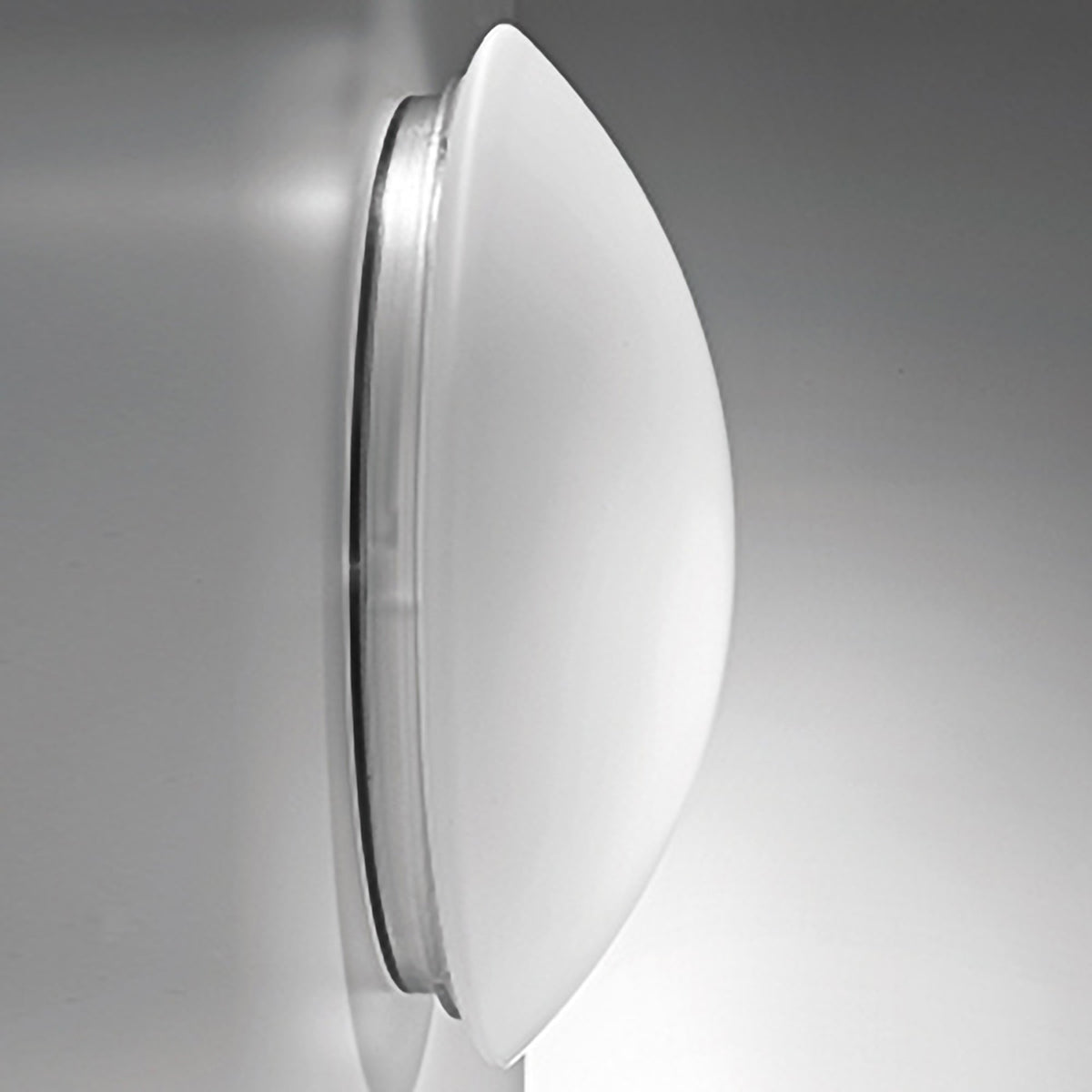 Zafferano America LL6113NE Bis Wall / Ceiling Light in Matte Opal