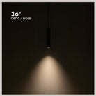 Kuzco Lighting LD2-PD12W12-3036-BK-UNV-010 Lorna LED Pendant in Black