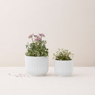 Lyngby Porcelæn 201396 Lyngby Flowerpot in White