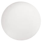 Visual Comfort Fan Collection MC360RZW Discus Blanking Plate