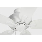 Confort visuel Ventilateur  Collection 5CSM60RZW Colony Plafond de 60 pouces Ventilateur 