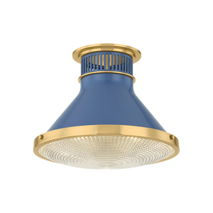 Descriptive image text