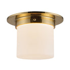 Alora Canada - FM360085UBOP - Une lampe Plafonnier - Minéral - Bronze urbain/Verre opale mat