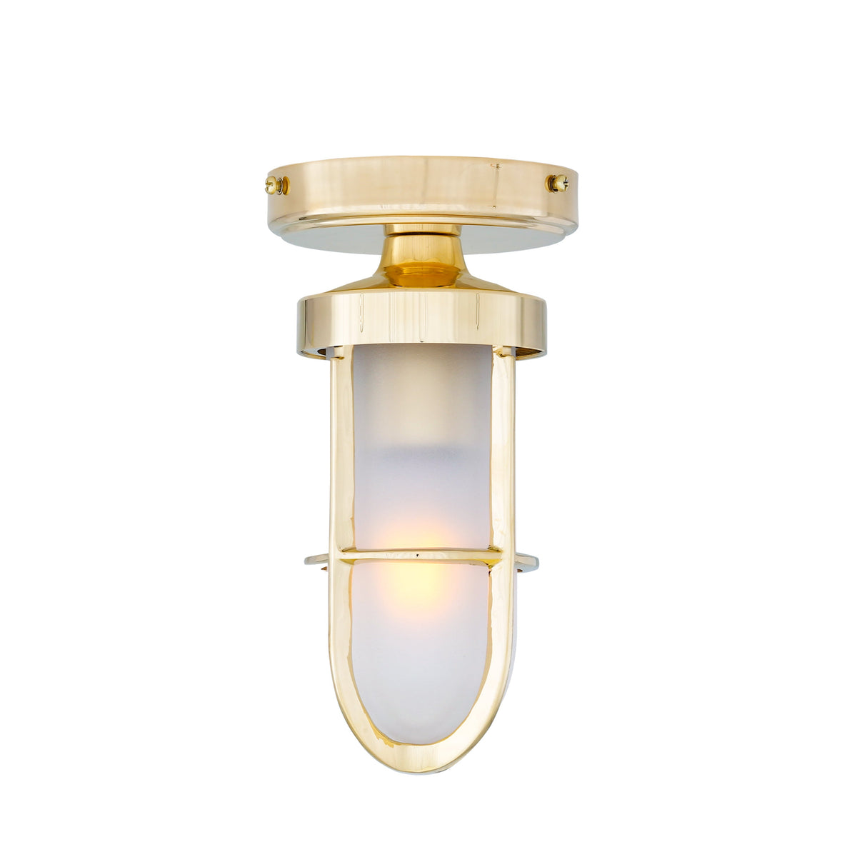 Oregon-A Cage Well Glass Light