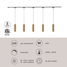 Kit d'éclairage de plafond LED Kuzco Lighting TR5C-P71602-BG Trilo - Remuda en or brossé