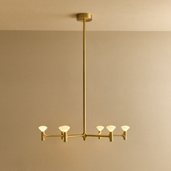 Root One-Tier Chandelier