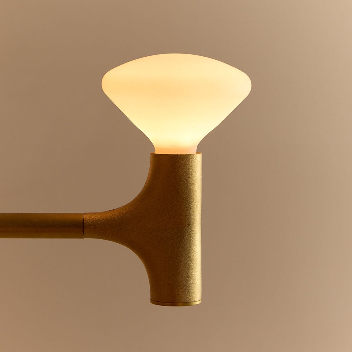 Tala Root One-Tier Chandelier detail