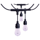 Guirlande lumineuse LED intelligente Satco Products S11190 Starfish de 7,3 m (24 pi) - 12 lumières - Intérieur/Extérieur