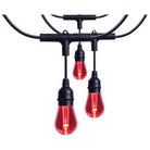 Guirlande lumineuse LED intelligente Satco Products S11190 Starfish de 7,3 m (24 pi) - 12 lumières - Intérieur/Extérieur