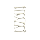 P&Bhusri S5-M-BWG-SC Provence Towel Warmer in PVD Brushed White Gold