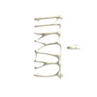 P&Bhusri S5-M-BWG-XA Provence Towel Warmer in PVD Brushed White Gold