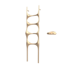 P&Bhusri S6-M-BBZ-XA Crete Palace Towel Warmer in PVD Brushed Bronze