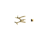 P&Bhusri S7-M-LGD-XM Daphne's Branch Medium Towel Warmer in PVD Polished Luxury Gold
