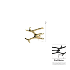 P&Bhusri S7-M-PBR-N-DO Daphne's Branch Medium Towel Warmer in PVD Polished Brass
