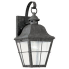 Generation Lighting 8462-46 Chatham 14.5" Lantern
