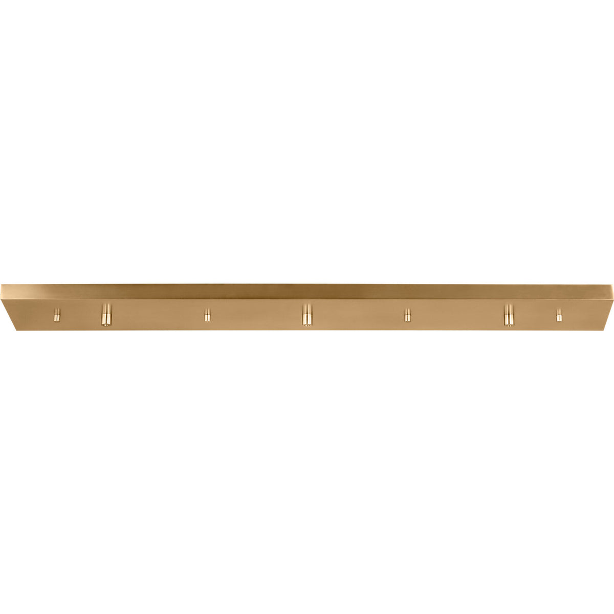 Generation Lighting 7449603-848 Three Light Multi Port Linear Canopy