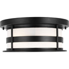 Generation Lighting 7890902-71 Wilburn Two Light Flush Mount
