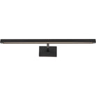 Lampe pour tableau Dessau 700DES24Z-LED930 de la collection moderne Visual Comfort