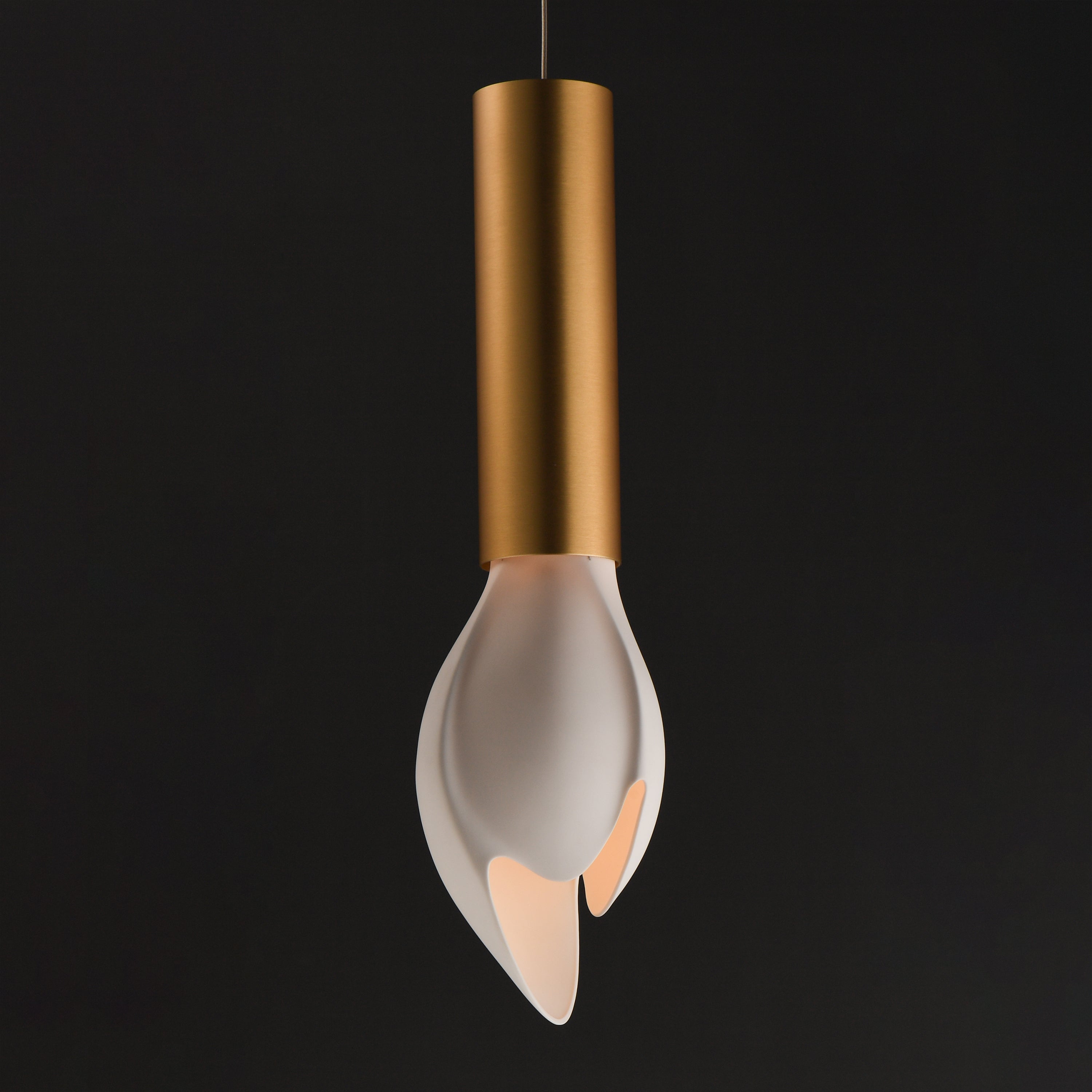 Studio M Lighting - SM30141WTNAB - Burgeon Pendant - Burgeon - Natural Aged Brass