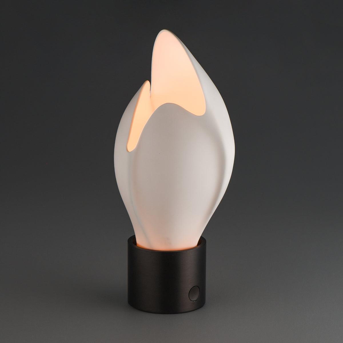 Studio M Lighting SM30149WTBGM Burgeon Table Lamp in Gunmetal, three-quarter angle view