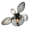 Studio M Lighting SM49300MSCLBK Ray Dance Cluster Wall Sconce in Black with Smoke and Clear glass, front view on white background