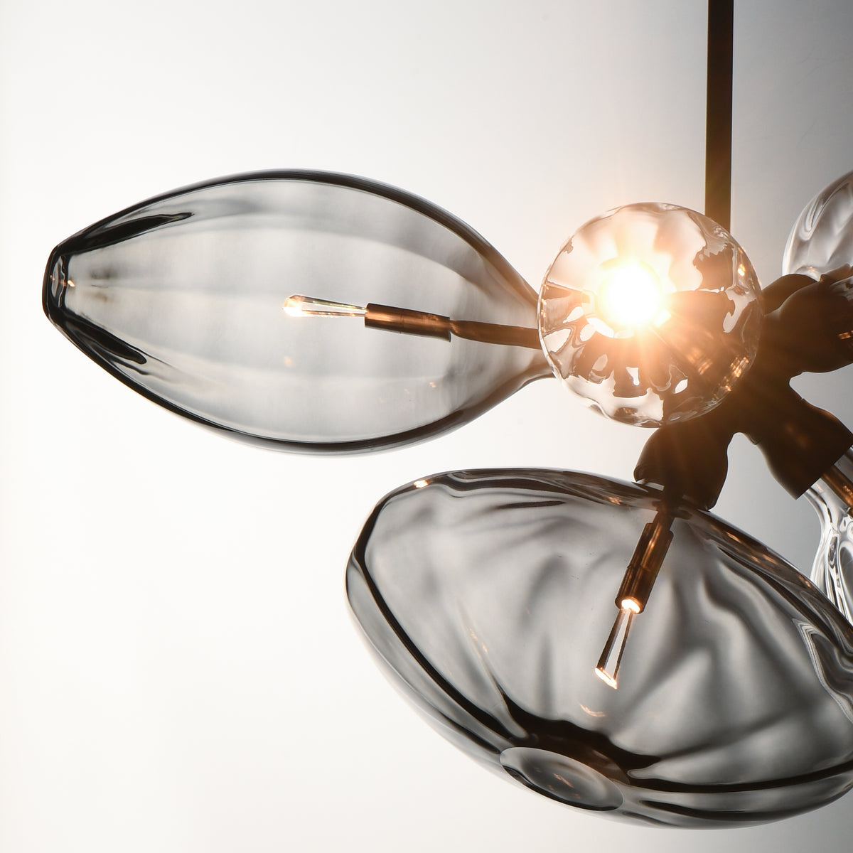 Studio M Lighting - SM49301MSCLBK - Ray Dance Cluster Pendant - Ray Dance Cluster - Black