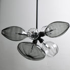 Studio M Lighting - SM49301MSCLBK - Ray Dance Cluster Pendant - Ray Dance Cluster - Black