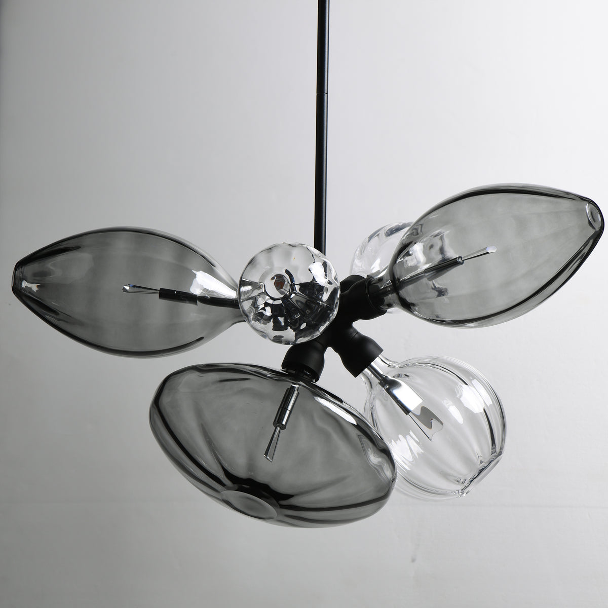 Studio M Lighting - SM49301MSCLBK - Ray Dance Cluster Pendant - Ray Dance Cluster - Black