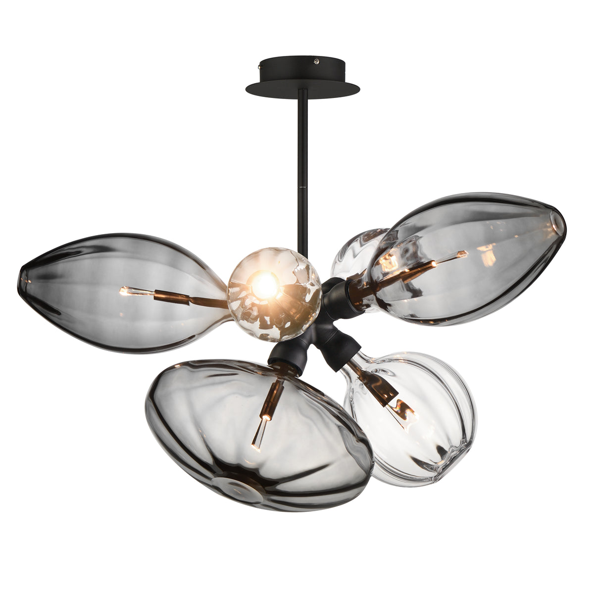 Studio M Lighting - SM49301MSCLBK - Ray Dance Cluster Pendant - Ray Dance Cluster - Black