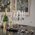 Holmegaard 4402007 Cabernet Wine Glasses in Clear