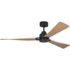 Visual Comfort Fan Collection 3TRLSM60MBKNHD Trillium Smart 60" LED Ceiling Fan