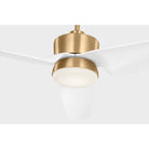 Visual Comfort Fan Collection 3CGR56SBD Colgin LED Ceiling Fan