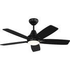 Confort visuel Ventilateur  Collection 5LWDR44MBKD Lowden LED Ceiling Ventilateur 
