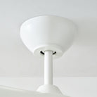 Confort visuel Ventilateur  Collection 3TNSM60RZWD Topan Smart LED Ceiling Ventilateur 