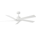 Visual Comfort Fan Collection 5ASPCR56RZW Aspen Coastal Ceiling Fan