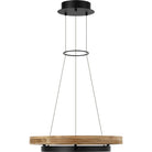 Collection moderne Visual Comfort SLOCH77630TXBTK Grace Outdoor Suspendu