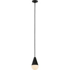 Coupole Alabaster 1-Light Port Alone Suspension
