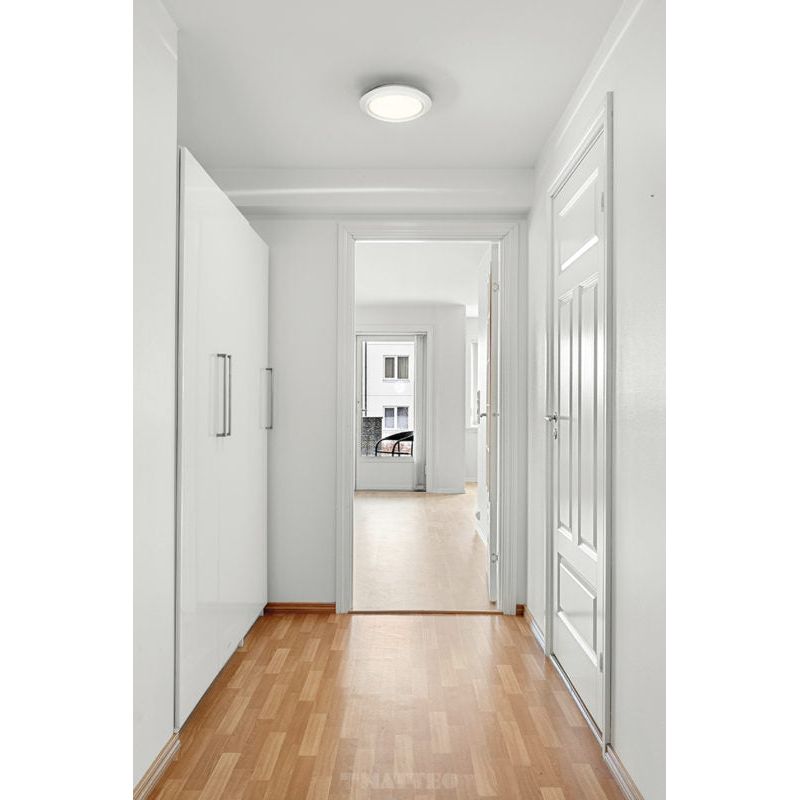 Iris LED Flush / Wall Mount
