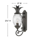 Lanterne murale Hinkley Lighting 2120MB Plantation, coloris Museum Black