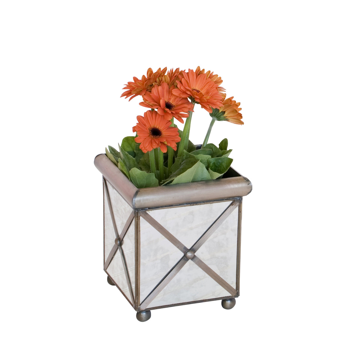 Square Planter