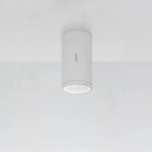 Artemide - Calumet Outdoor Ceiling Light - T41961LN08 | Montreal Lighting & Hardware
