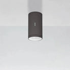 Artemide - Calumet Outdoor Ceiling Light - T41961LN18 | Montreal Lighting & Hardware