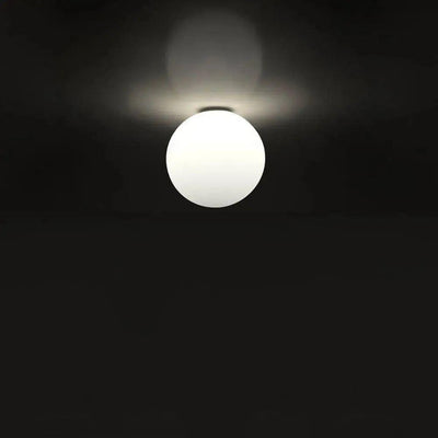 Dioscuri Wall / Ceiling Light